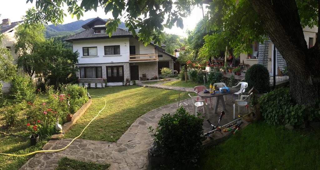 Luylyana Guesthouse Ribaritsa Exteriör bild