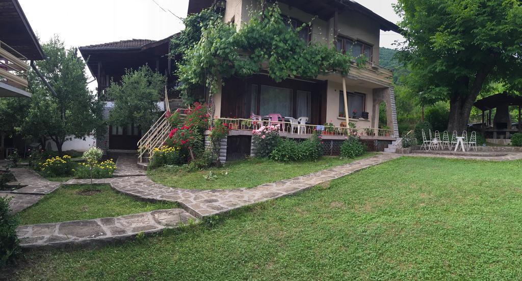 Luylyana Guesthouse Ribaritsa Exteriör bild