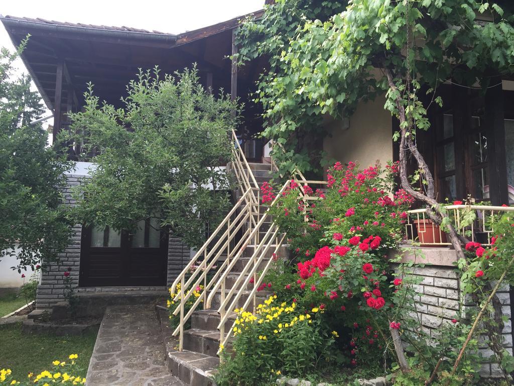 Luylyana Guesthouse Ribaritsa Exteriör bild