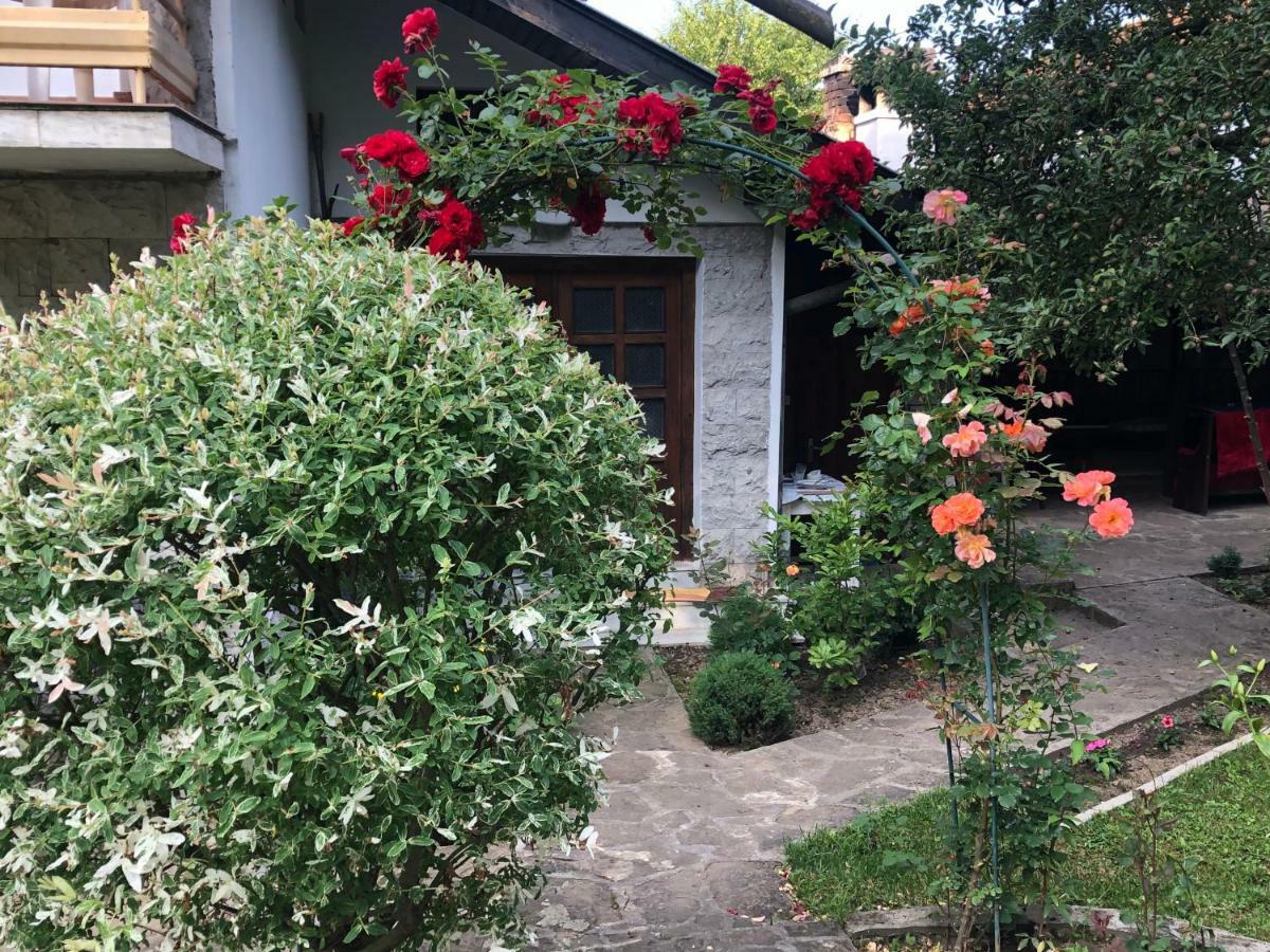 Luylyana Guesthouse Ribaritsa Exteriör bild