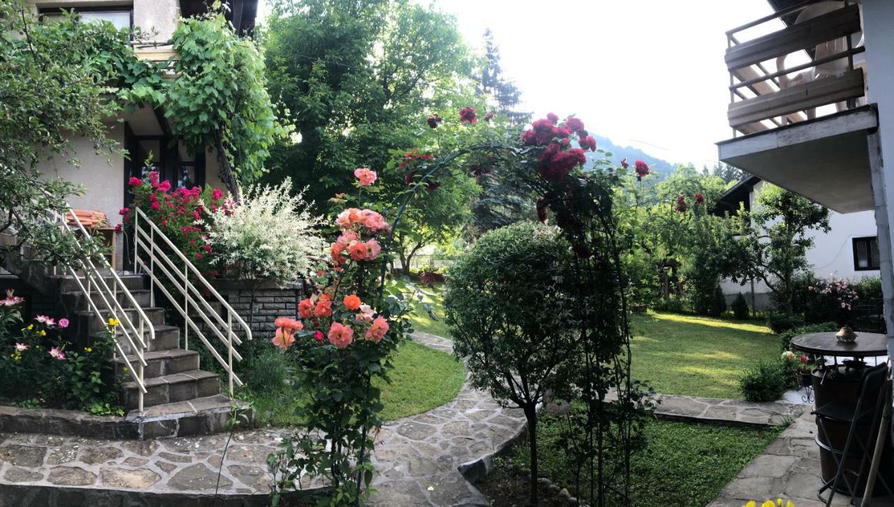 Luylyana Guesthouse Ribaritsa Exteriör bild